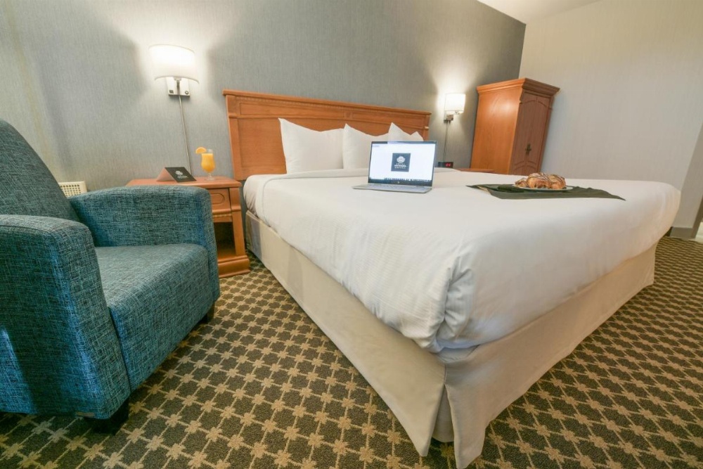 Classic Room with 1 king bed