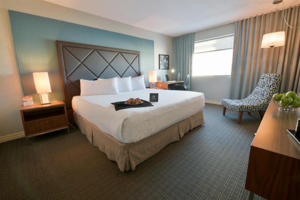 Superior Room with 1 king bed